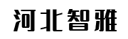 河北智雅汽车信息综合平台