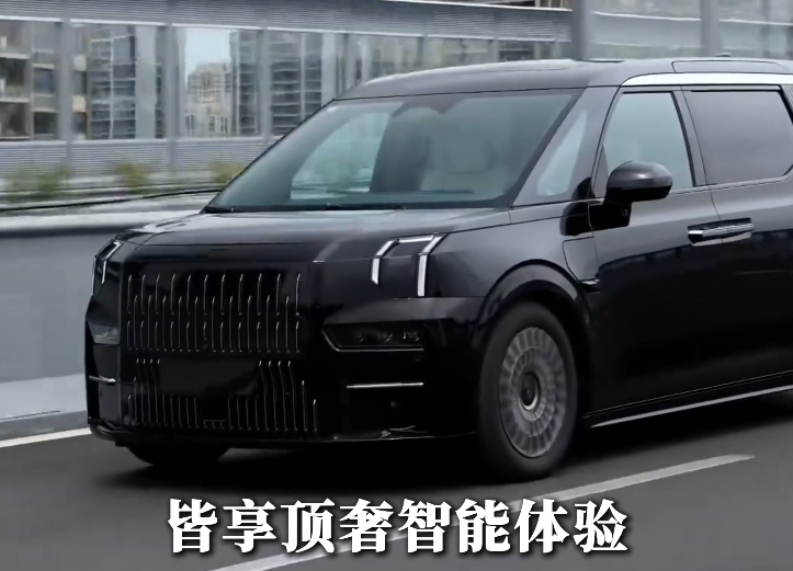 极氪009  豪华与性能拉满