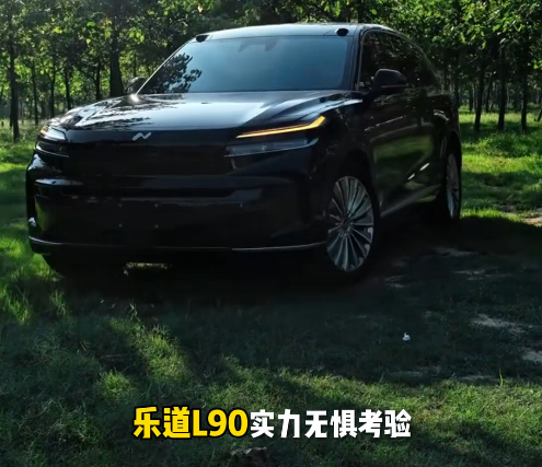 乐道 L90，实力无惧考验