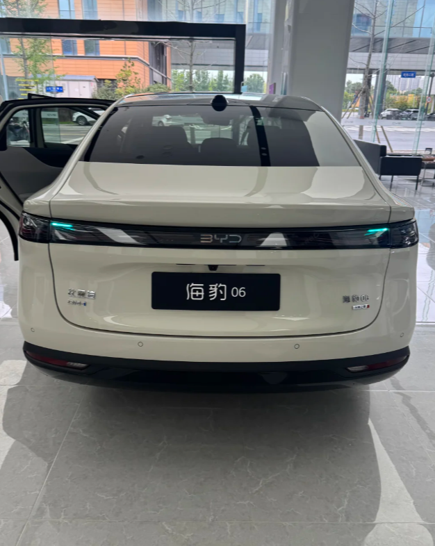 新款海豹06